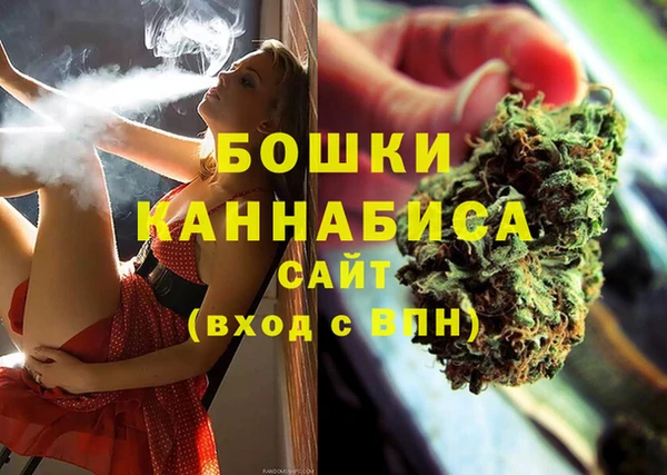 индика Вязники