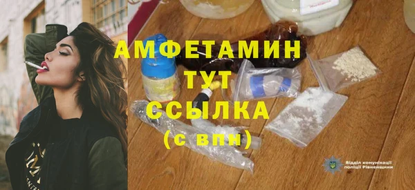 индика Вязники